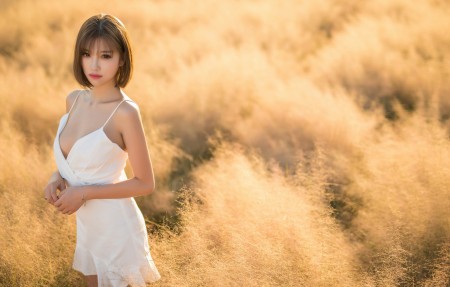 ［网站站长］站长诊断有什么作用？是如何诊断的?